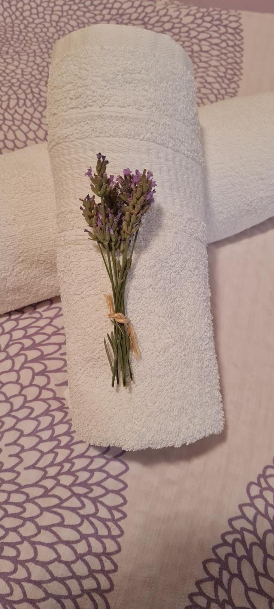 Apartment Lavanda 스타리그라드 파클레니차 외부 사진